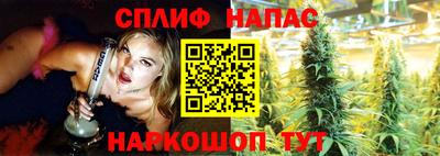 сатива Обь