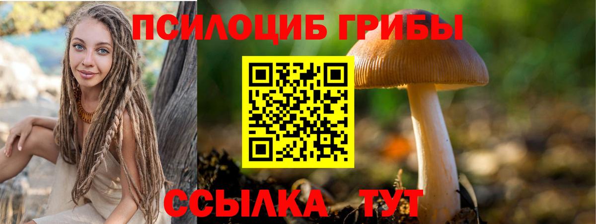 Галлюциногенные грибы Cubensis  Псилоцибиновые грибы GOLDEN TEACHER  Ржев  Вход с VPN 